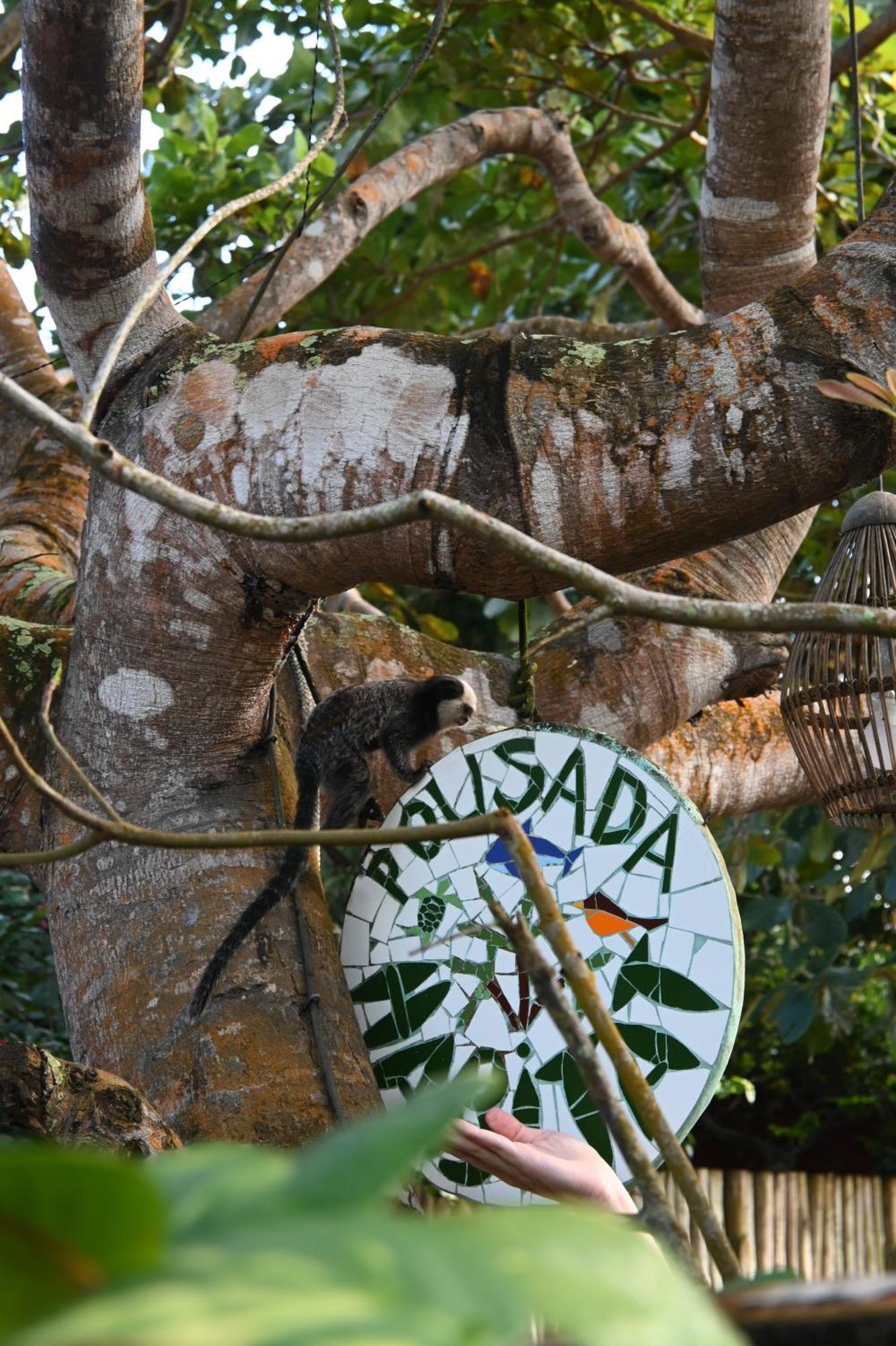 Pousada Habitat Caraíva Exterior foto